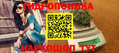 ECSTASY Гулькевичи