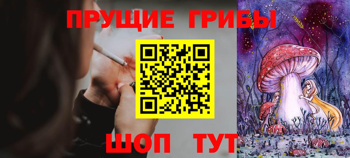 Псилоцибиновые грибы Psilocybine cubensis Махачкала