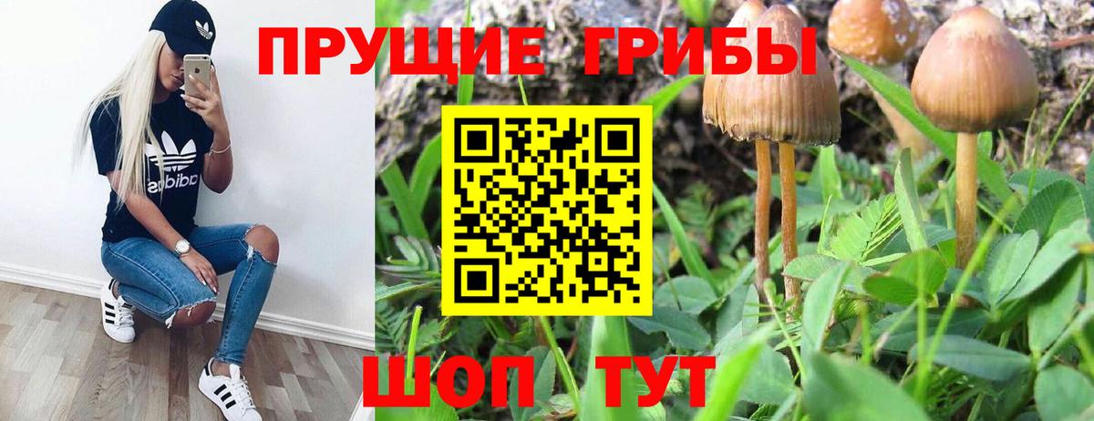Галлюциногенные грибы Magic Shrooms  Вход с VPN  Махачкала  Галлюциногенные грибы Psilocybine cubensis 